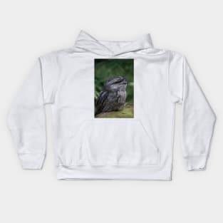 Tawny Stare Kids Hoodie